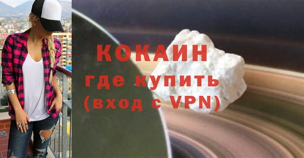 амф Ельня
