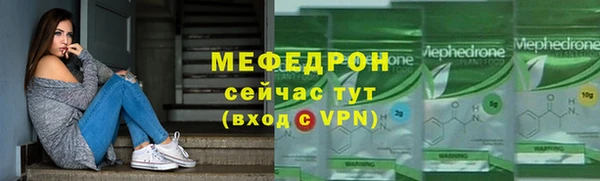 амф Ельня