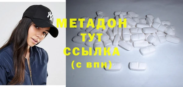 амф Ельня