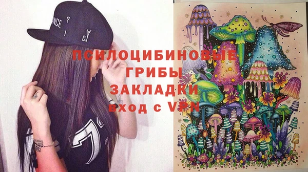 ПСИЛОЦИБИНОВЫЕ ГРИБЫ Усмань