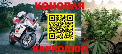 каннабис Волжский
