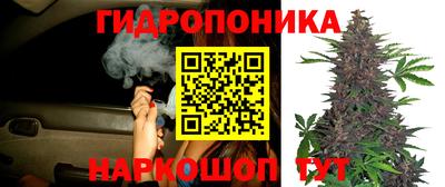 каннабис Волжский