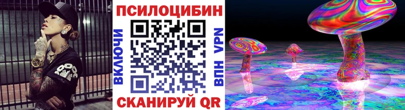 где можно купить   Елец  Псилоцибиновые грибы мухоморы 